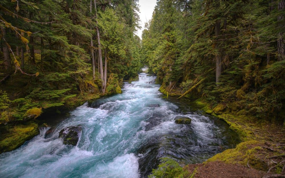 Best Hikes In Oregon